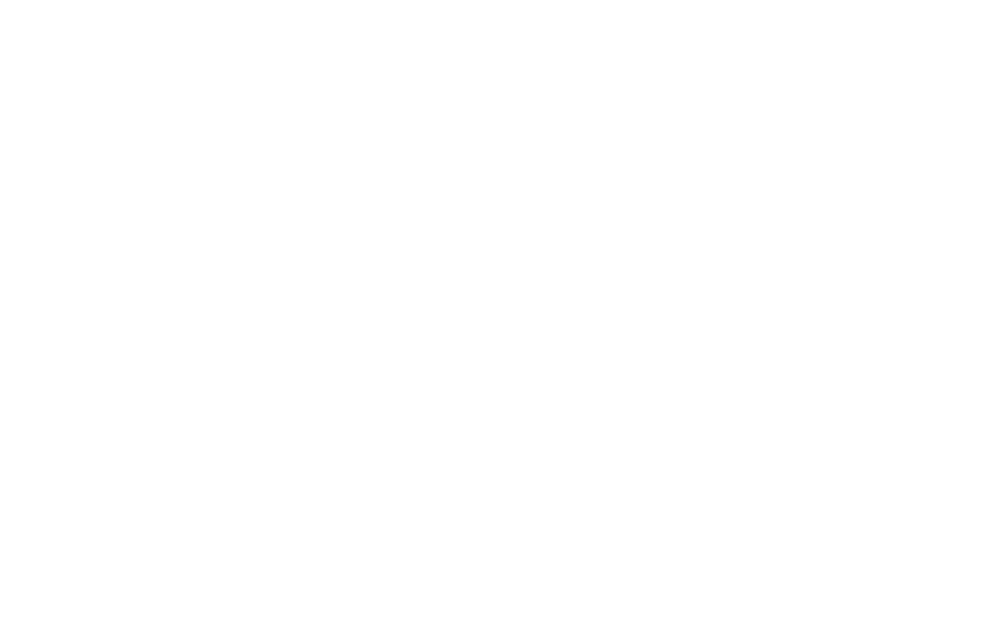 AirSafe Logo